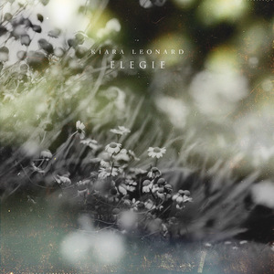 疯狂做爰全过程免费的网站
